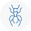 Ant Removals In Marple