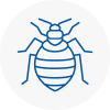Bed Bug Extermination In Marple
