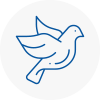 Bird Prevention Marple