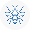 Marple Hornet Nest Removals