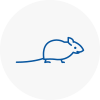 Mice Exterminators In Marple