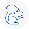Marple Rodent Removals