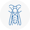 Marple Wasp Nest Removal